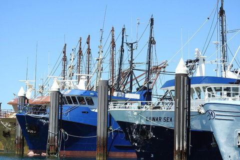 One Day Port Lincoln Tour - Tasting Eyre - Accommodation Broome 0