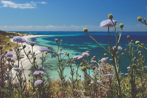 Rottnest Island Full-Day Trip With Guided Island Tour From Perth - Accommodation Broome 2