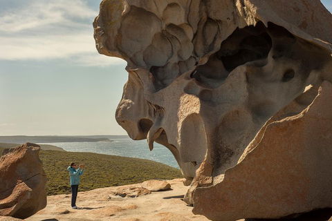 Kangaroo Island In A Day Tour From Adelaide - Accommodation Broome 5