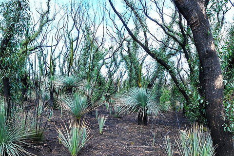 NEW TOUR - Kangaroo Island Road To Recovery Tour (1 Day/1 Night) - Accommodation Broome 3