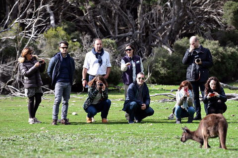 Small-Group Kangaroo Island 4WD Tour From Adelaide - Accommodation Broome 2