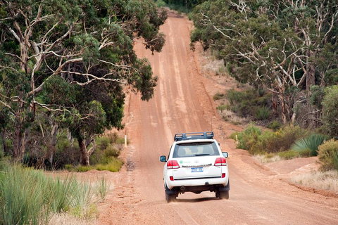 Small-Group Kangaroo Island 4WD Tour From Adelaide - Accommodation Broome 3