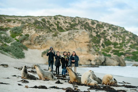 Small-Group Kangaroo Island 4WD Tour From Adelaide - Accommodation Broome 4