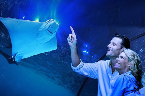 Cairns Aquarium Tour By Twilight With Drink And Appetiser - Accommodation Broome 4