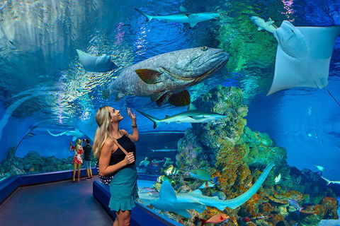 Cairns Aquarium Admission Ticket - Accommodation Broome 3