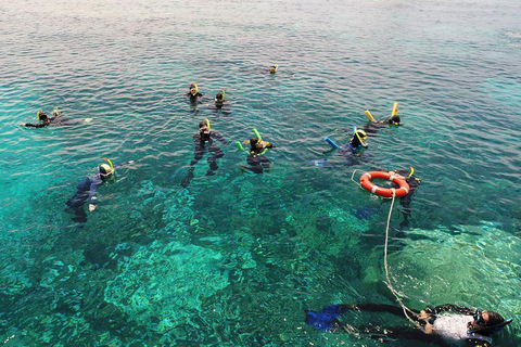 Seastar Luxury Outer Great Barrier Reef Island And Reef Tour From Cairns - Accommodation Broome 2