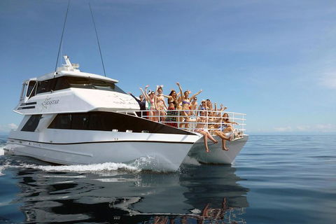 Seastar Luxury Outer Great Barrier Reef Island And Reef Tour From Cairns - Accommodation Broome 4