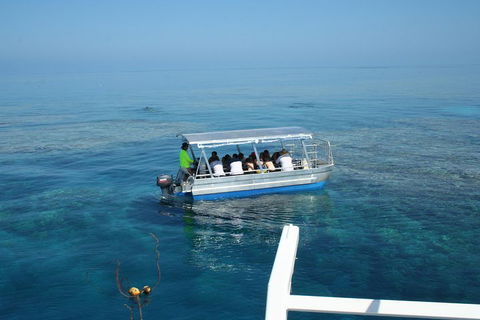Seastar Luxury Outer Great Barrier Reef Island And Reef Tour From Cairns - Accommodation Broome 5