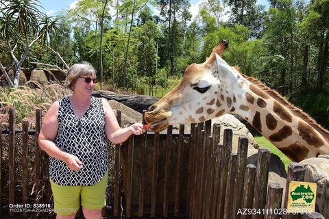 Small-Group Australia Zoo Day Trip From Brisbane - Accommodation Broome 2
