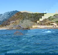 Kayaking with Dolphins in Byron Bay Guided Tour - Accommodation Broome