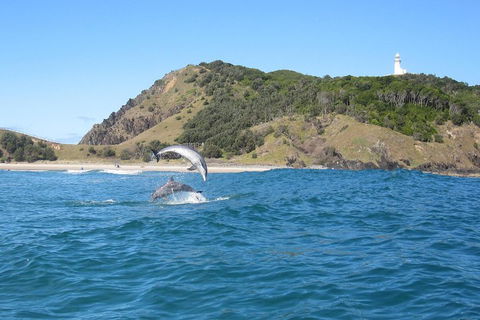 Kayaking With Dolphins In Byron Bay Guided Tour - Accommodation Broome 0