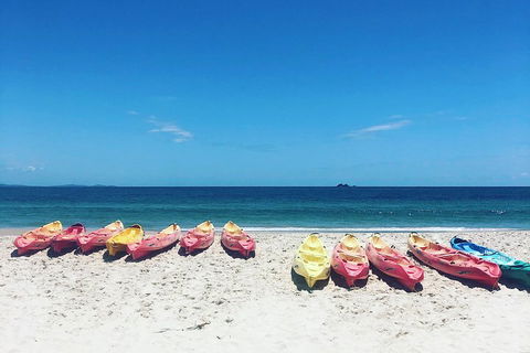 Kayaking With Dolphins In Byron Bay Guided Tour - Accommodation Broome 1