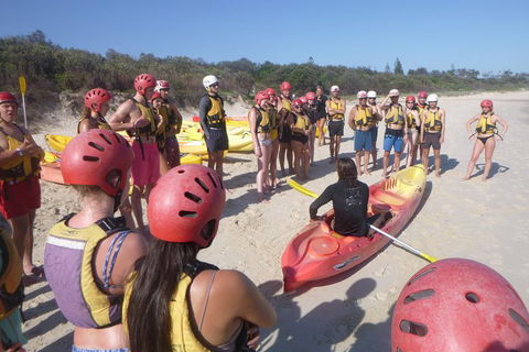 Kayaking With Dolphins In Byron Bay Guided Tour - Accommodation Broome 2