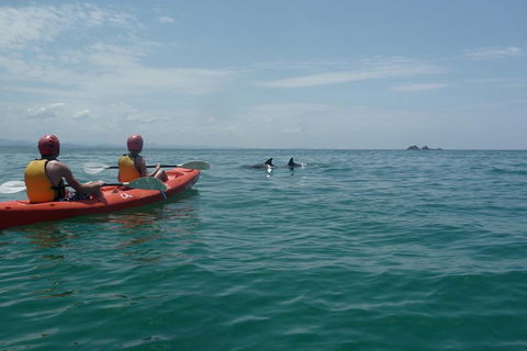 Kayaking With Dolphins In Byron Bay Guided Tour - Accommodation Broome 4