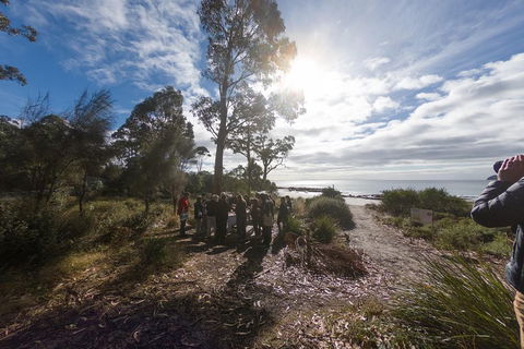Bruny Island Day Tour, Includes Lunch And Exclusive Lighthouse Tour - Accommodation Broome 5