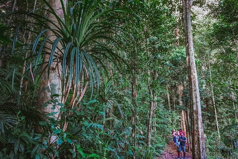 Atherton Tablelands Rain Forest By Night From Cairns - Accommodation Broome 0