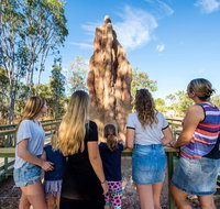 Litchfield National Park Waterfalls and Wildlife Tour from Darwin - Accommodation Broome