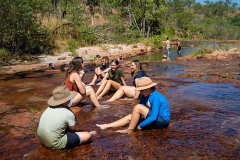 Litchfield National Park Waterfalls And Wildlife Tour From Darwin - Accommodation Broome 1