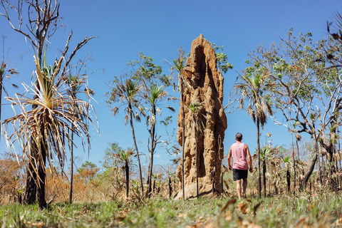 Litchfield National Park Waterfalls And Wildlife Tour From Darwin - Accommodation Broome 4