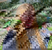 Great Ocean Road Reverse Itinerary with 12 Apostles from Melbourne