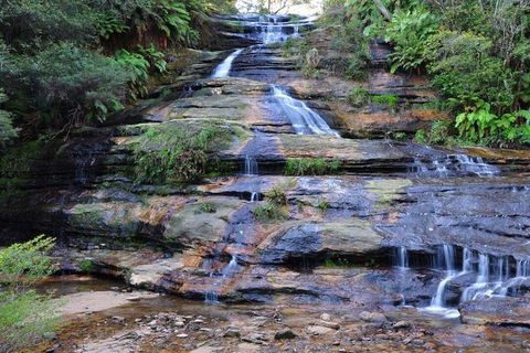 Blue Mountains Day Trip From Sydney With Amazing Lookouts (Private Tour) - Accommodation Broome 4
