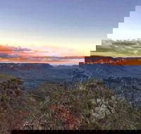Blue Mountains Sunset Tour  Kangaroos  Koala Encounter Private Tour - Accommodation Broome