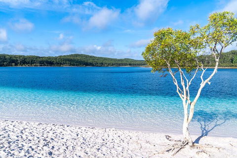 Lake McKenzie Full-Day Tour With Lunch From Hervey Bay - Accommodation Broome 1
