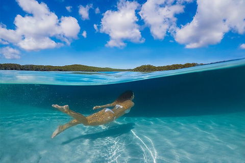 Lake McKenzie Full-Day Tour With Lunch From Hervey Bay - Accommodation Broome 5