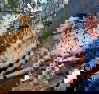 African Cat Encounter at Werribee Open Range Zoo