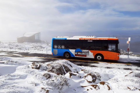 Hobart Hop-On Hop-Off Bus & Kunanyi/Mt Wellington Tour - Accommodation Broome 5
