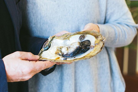 Half-Day Willie Creek Pearl Farm Tour With Helicopter Flight - Accommodation Broome 3