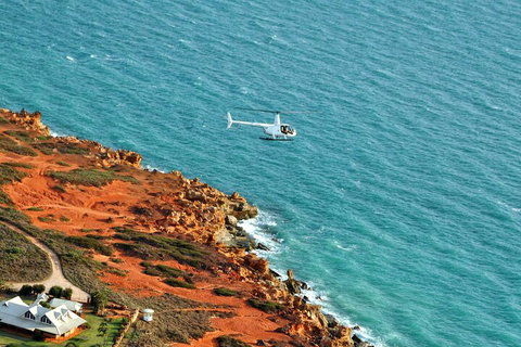 Half-Day Willie Creek Pearl Farm Tour With Helicopter Flight - Accommodation Broome 4