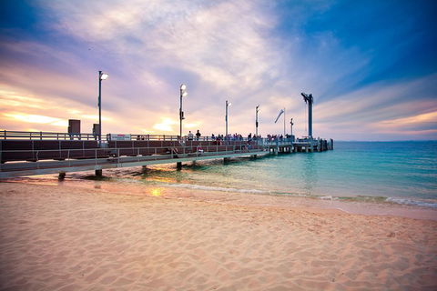 Tangalooma Island Resort Whale Watching Day Cruise With Dolphin Viewing - Accommodation Broome 3