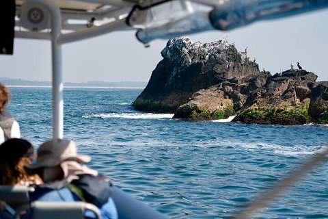 Julian Rocks Byron Bay Cruise - Accommodation Broome 2