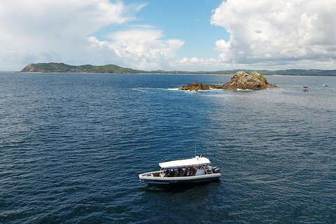 Julian Rocks Byron Bay Cruise - Accommodation Broome 5