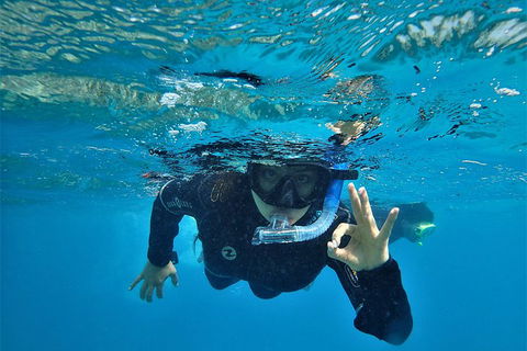 3 Day Whitsundays Sailing And Diving Adventure: Kiana - Accommodation Broome 0