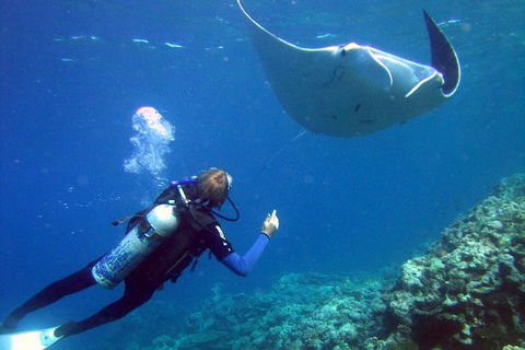 3 Day Whitsundays Sailing And Diving Adventure: Kiana - Accommodation Broome 3