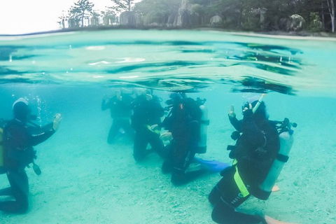 3 Day Whitsundays Sailing And Diving Adventure: Kiana - Accommodation Broome 4