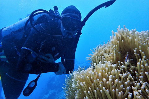 3 Day Whitsundays Sailing And Diving Adventure: Kiana - Accommodation Broome 5