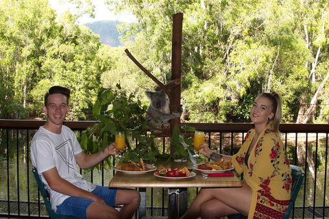 Hartley's Crocodile Adventures Breakfast With The Koalas - Accommodation Broome 5