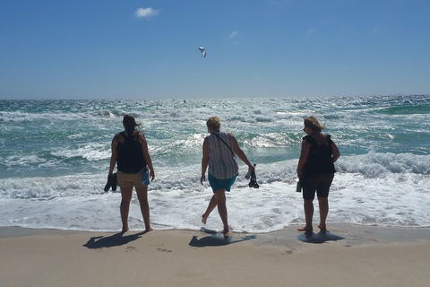 Very Best Of Perth Tour - Wildlife Park & City Highlights Tour - Accommodation Broome 5