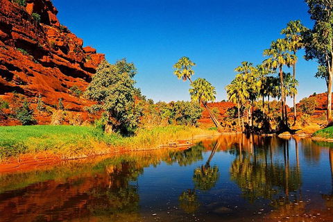 Palm Valley 4WD Day Tour - Accommodation Broome 2