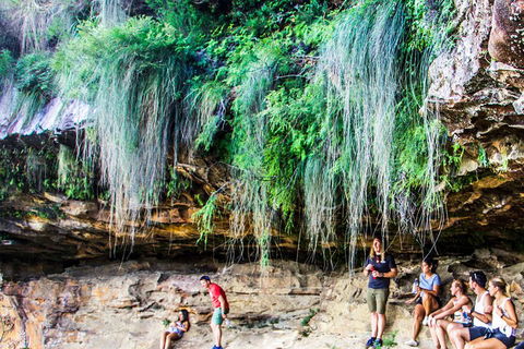 Sunset Blue Mountains Wilderness & Wildlife Tour Without The Crowds - Accommodation Broome 1
