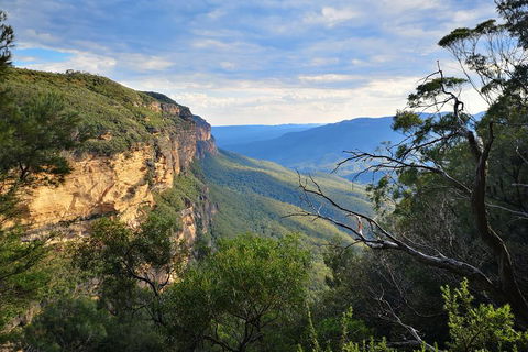 Sunset Blue Mountains Wilderness & Wildlife Tour Without The Crowds - Accommodation Broome 2