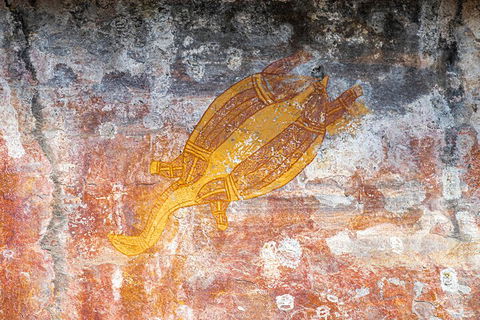 Kakadu Wilderness Escape - Top End Day Tour From Darwin - Accommodation Broome 2