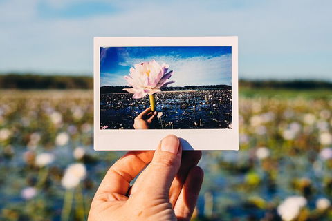 Kakadu Wilderness Escape - Top End Day Tour From Darwin - Accommodation Broome 3