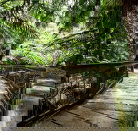 12 Apostles Eco-Friendly Great Ocean Road Iconic Adventure from Melbourne