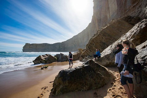 Small-Group Great Ocean Road And 12 Apostles Full-Day Tour From Melbourne - Accommodation Broome 1