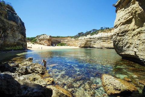 Small-Group Great Ocean Road And 12 Apostles Full-Day Tour From Melbourne - Accommodation Broome 5