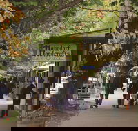 Adelaide Highlights Hahndorf  McLaren Vale Wine Tasting and Sightseeing Tour - Accommodation Broome
